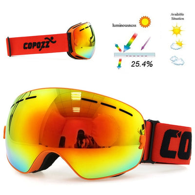 Ski Goggles