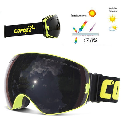 Ski Goggles