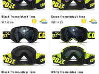 Ski Goggles